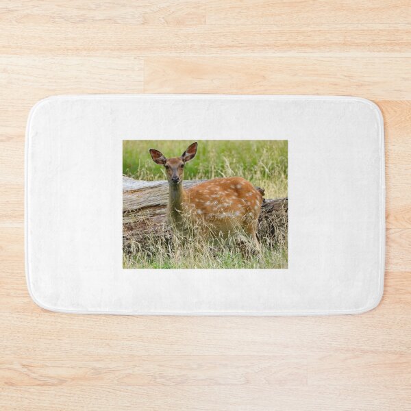 Item preview, A Beautiful Fallow Deer designed and sold by Karen Thomson.