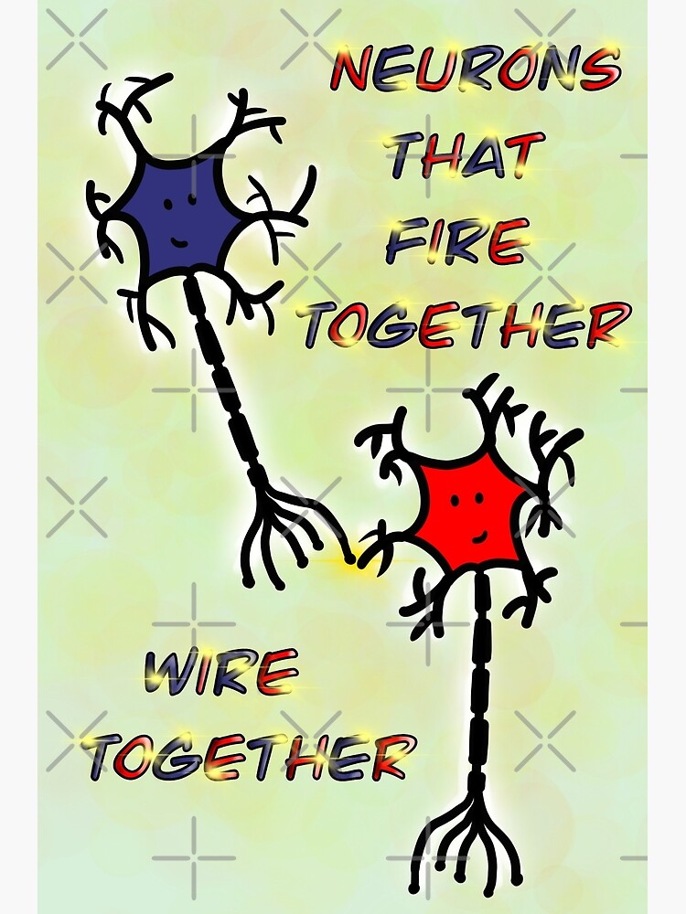 "Neurons that fire together wire together" Photographic Print for Sale
