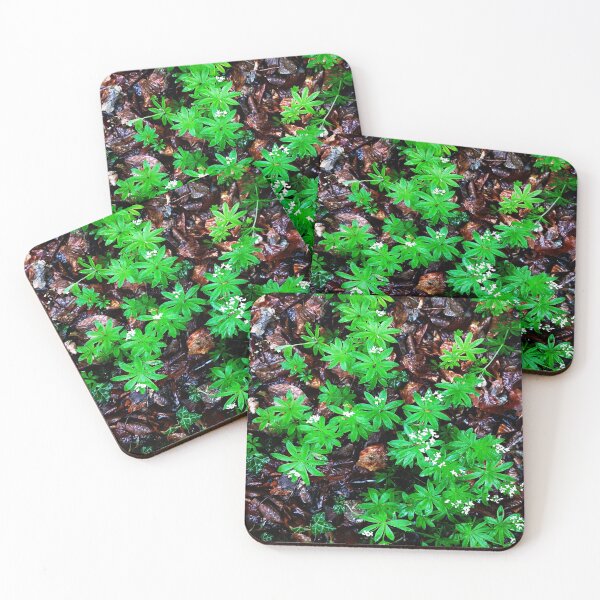 Item preview, Woodruff in its natural environment designed and sold by frankuffmann.