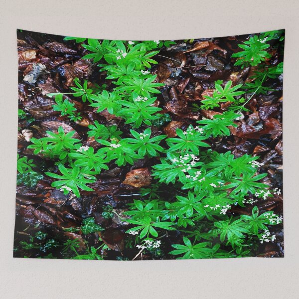 Item preview, Woodruff in its natural environment designed and sold by frankuffmann.