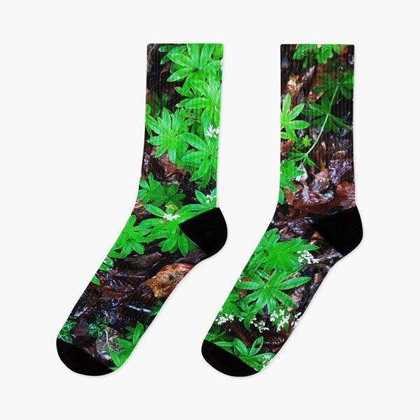 Item preview, Woodruff in its natural environment designed and sold by frankuffmann.