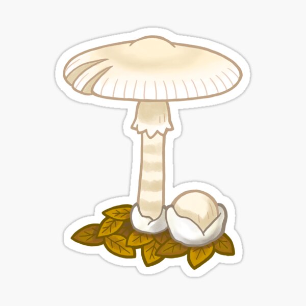 White Mushroom Toadstool Sticker