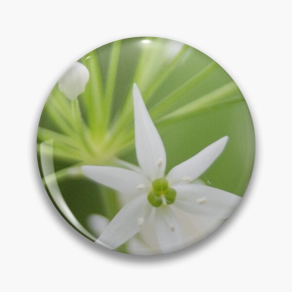 Item preview, Wild Garlic 1 designed and sold by Calidris Fotografie Steffi & Ben Köppler.