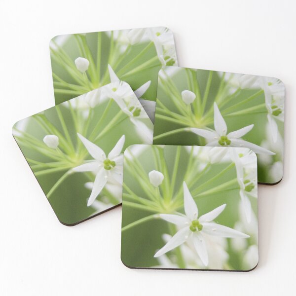Item preview, Wild Garlic 1 designed and sold by Calidris Fotografie Steffi & Ben Köppler.
