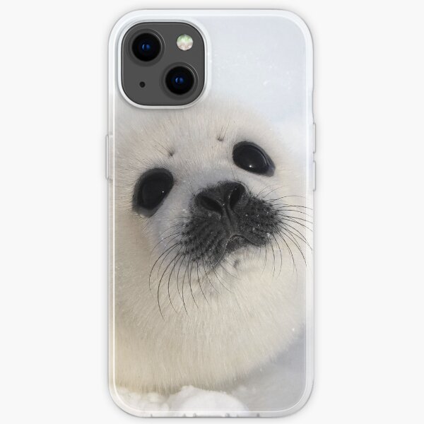 Baby Harp Seal on Ice and Snow, Canada iPhone Soft Case