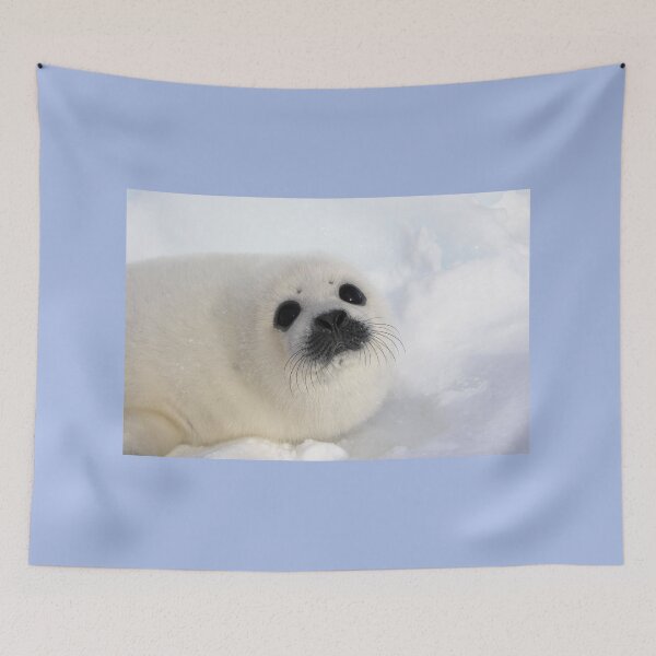 Item preview, Baby Harp Seal on Ice and Snow, Canada designed and sold by ScienceSource.