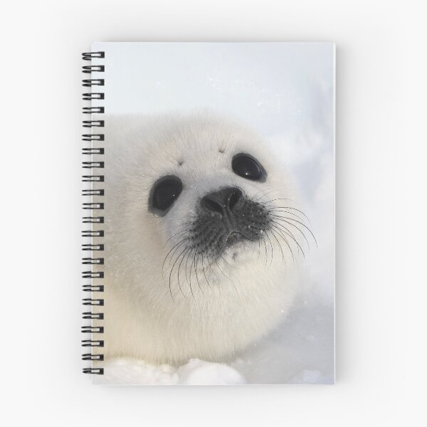 Item preview, Baby Harp Seal on Ice and Snow, Canada designed and sold by ScienceSource.