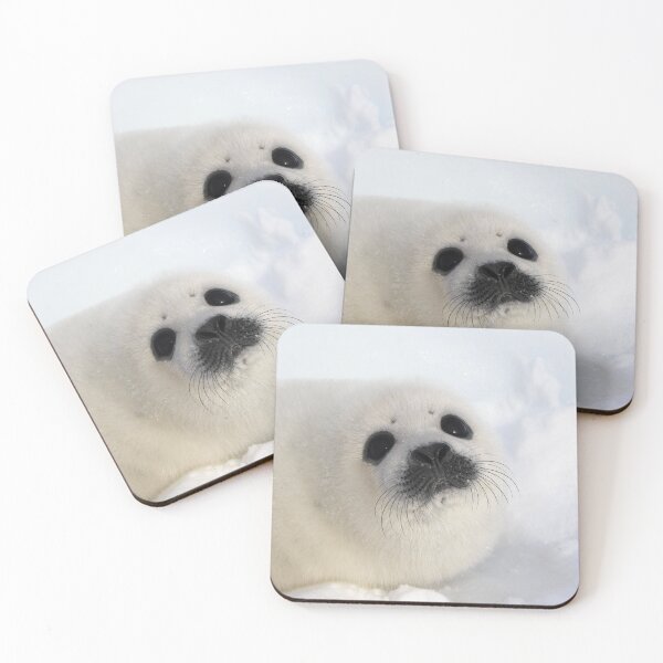 Item preview, Bebé foca arpa sobre hielo y nieve, Canadá designed and sold by ScienceSource.