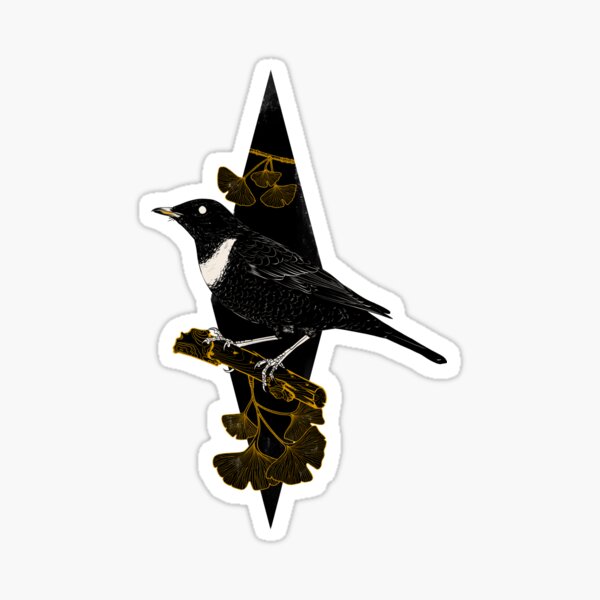 Turdus torquatus Sticker