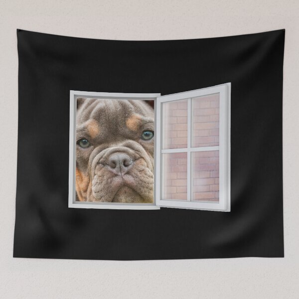 Artikelvorschau, Ernsthafter brauner Bulldoggenwelpe, der aus dem Fenster schaut – Backsteinmauer entworfen und verkauft von ittybittyowl.