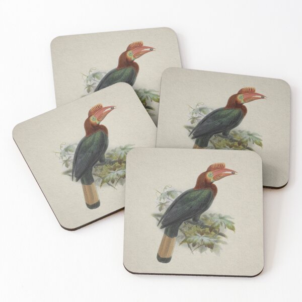 Item preview, Hornbill with snack designed and sold by HomeStageStudio.