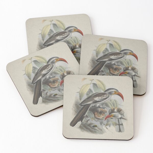 Item preview, 2 Hornbills and a Beetle designed and sold by HomeStageStudio.