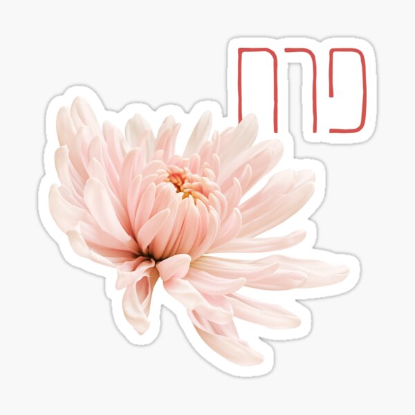 Item preview, Beautiful Flower Photo with Its Hebrew Name: Perach designed and sold by Amber Dove Studio.