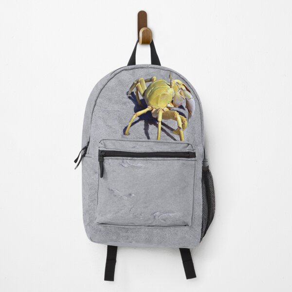 Item preview, Yellow Sand Crab, Socotra Island, Yemen designed and sold by worldways.