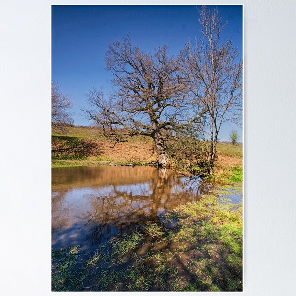 Item preview, The Ponds At St John's. designed and sold by Dave Godden.