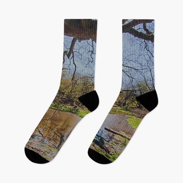 Item preview, The Ponds At St John's. designed and sold by Dave Godden.