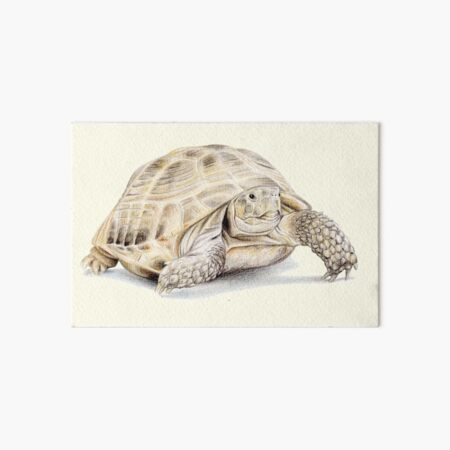 Item preview, Tortoise (light yellow) designed and sold by SandraWarmerdam.