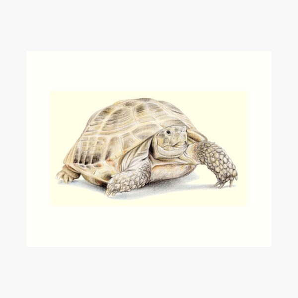 Item preview, Tortoise (light yellow) designed and sold by SandraWarmerdam.