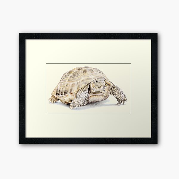 Item preview, Tortoise (light yellow) designed and sold by SandraWarmerdam.