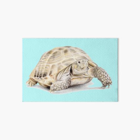 Item preview, Tortoise (light turquoise) designed and sold by SandraWarmerdam.