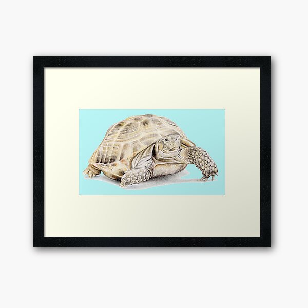 Item preview, Tortoise (light turquoise) designed and sold by SandraWarmerdam.