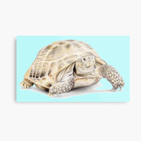 Item preview, Tortoise (light turquoise) designed and sold by SandraWarmerdam.