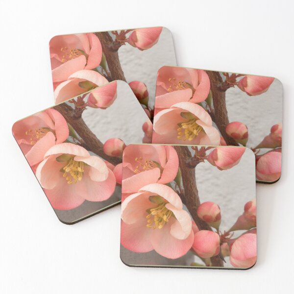 Item preview, Quince blooms designed and sold by angel1.
