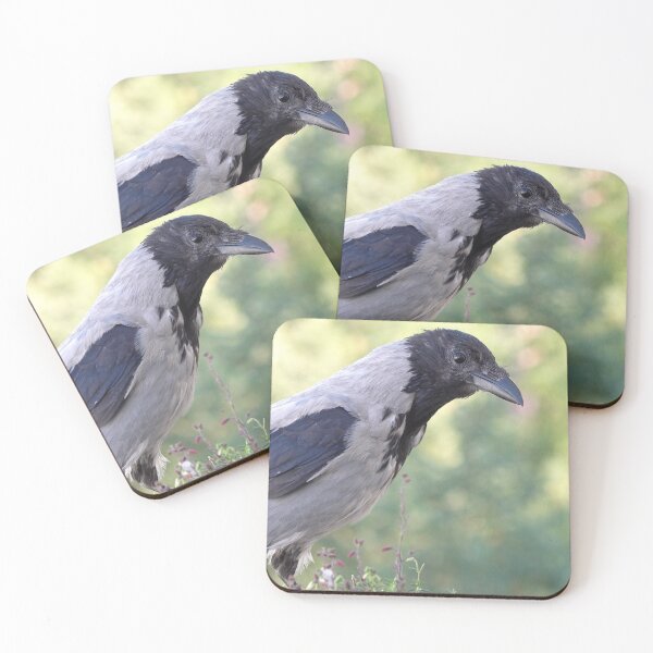 Item preview, Hooded crow designed and sold by Babbler01.