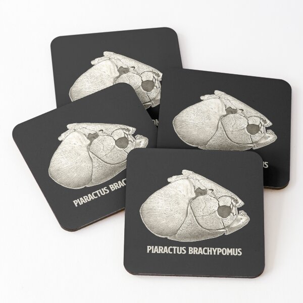 Artikelvorschau, Pacu Piranha Schädel Skelett Aquarium Fish Keeper Aquarist Geschenk entworfen und verkauft von TheAplus.