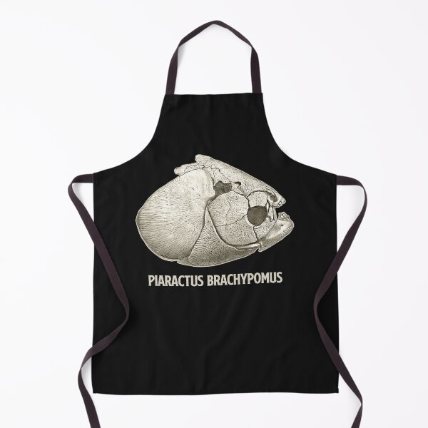 Item preview, Pacu Piranha Skull Skeleton Aquarium Fish Keeper Aquarist Gift designed and sold by TheAplus.