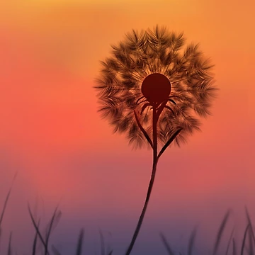 Artwork thumbnail, Dandelion by Rangaurpani