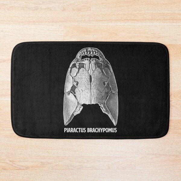 Item preview, Pacu Piranha Skeleton Skull Aquarium Fish Keeper Aquarist Gift designed and sold by TheAplus.