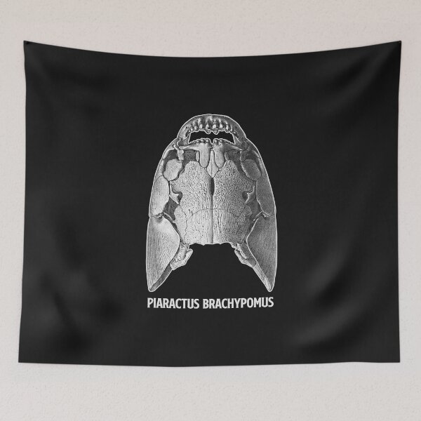 Item preview, Pacu Piranha Skeleton Skull Aquarium Fish Keeper Aquarist Gift designed and sold by TheAplus.