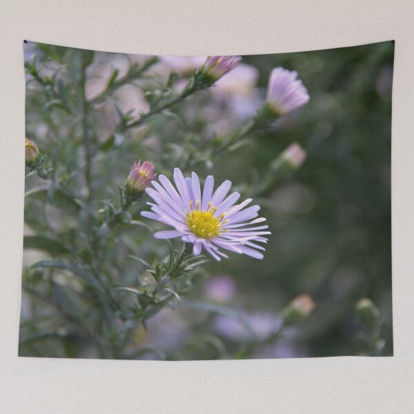 Item preview, garden designed and sold by Babbler01.