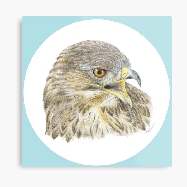 Item preview, Buzzard Coloured Pencil Drawing (light blue) designed and sold by SandraWarmerdam.