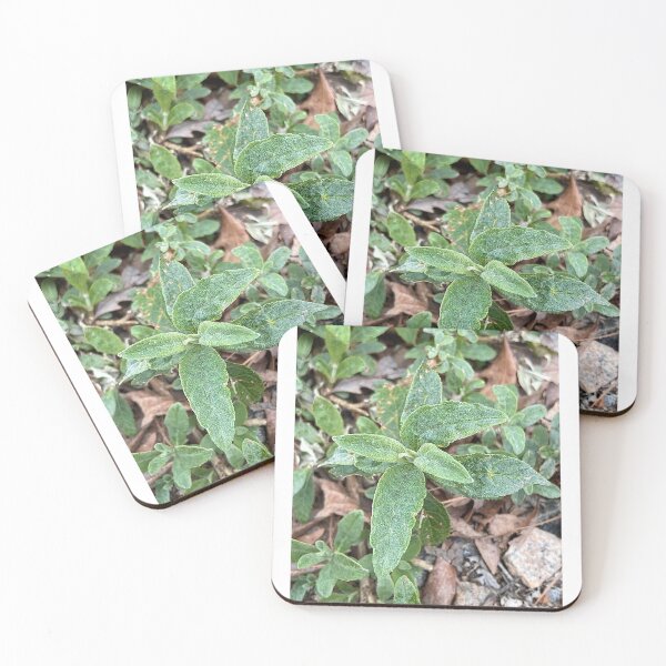 Item preview, Butterfly Bush Growing on The Road Side designed and sold by Max Kindly.
