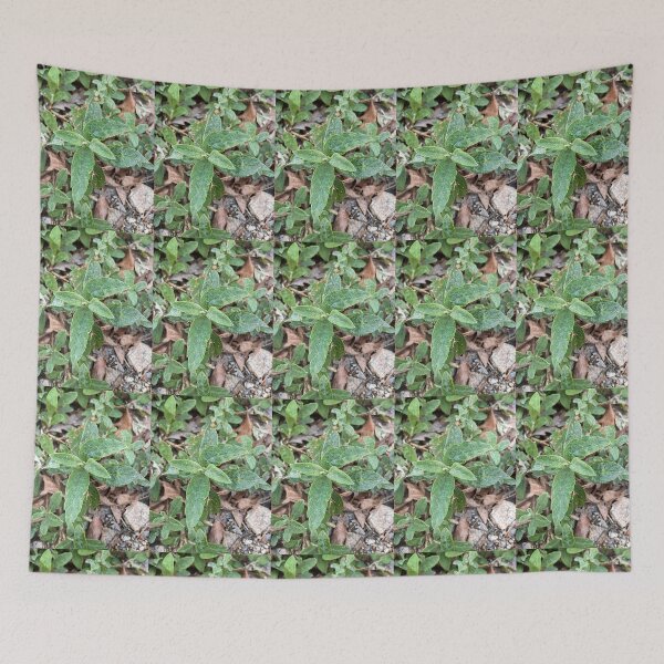 Item preview, Butterfly Bush Growing on The Road Side designed and sold by Max Kindly.