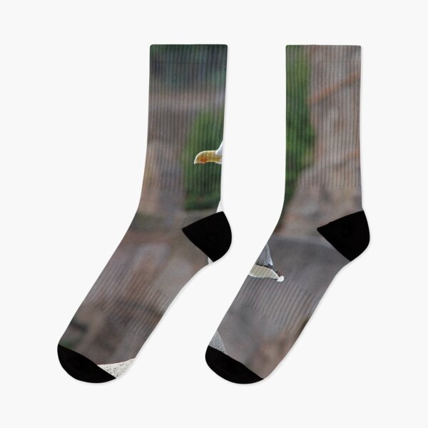 Item preview, Proud seagull designed and sold by Babbler01.