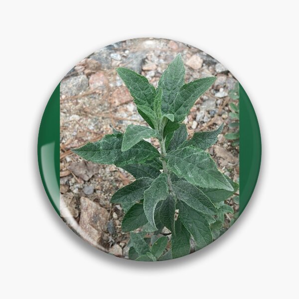 Item preview, Beautiful Plant in The Rough designed and sold by Max Kindly.