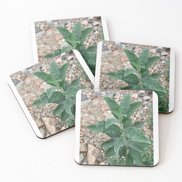 Item preview, Beautiful Plant in The Rough designed and sold by Max Kindly.