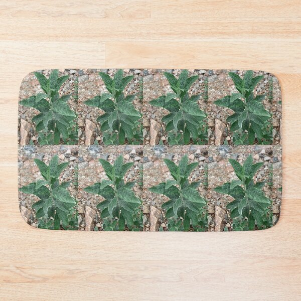 Item preview, Beautiful Plant in The Rough designed and sold by Max Kindly.