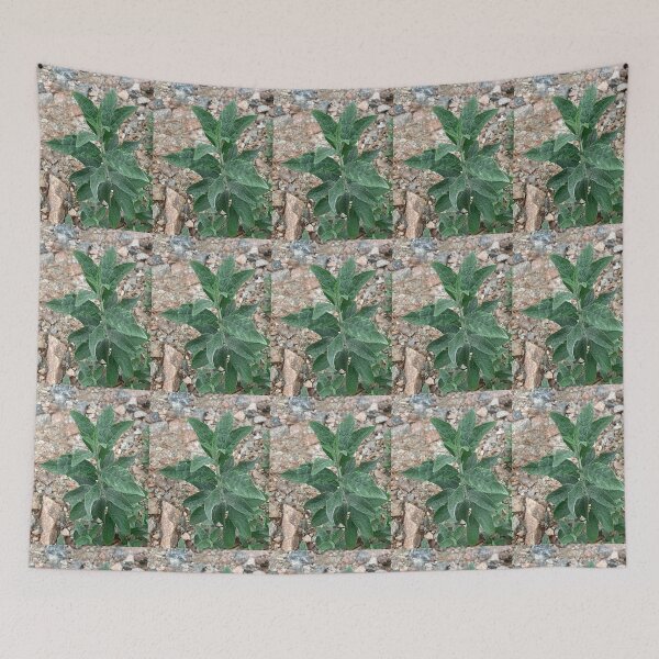 Item preview, Beautiful Plant in The Rough designed and sold by Max Kindly.