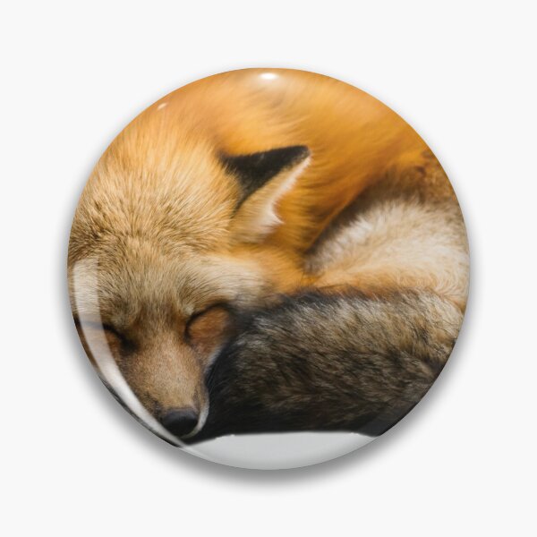 Item preview, University of Rochester Quad Fox Sticker designed and sold by annette3102.