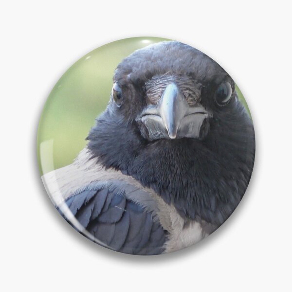 Aperçu de l'œuvre Oiseau corbeau créée et vendue par Babbler01.