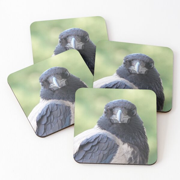 Item preview, Raven bird designed and sold by Babbler01.