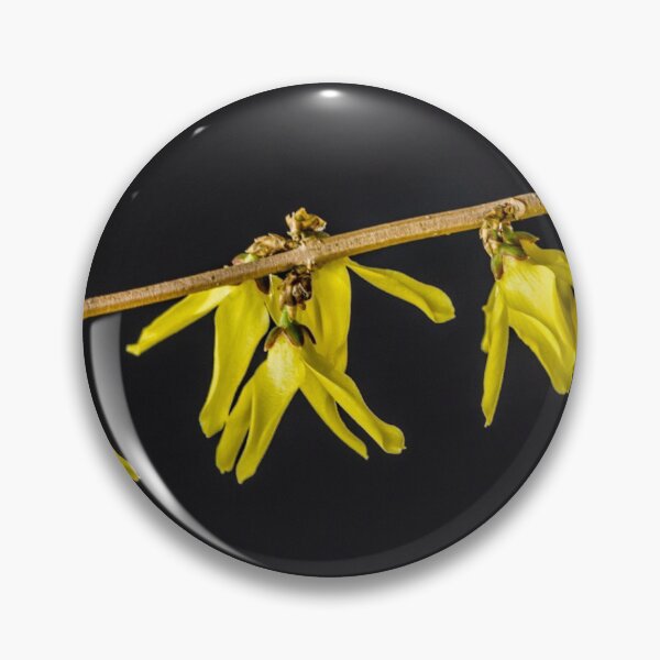 Item preview, Forsythia 4 designed and sold by Robert Alsop.