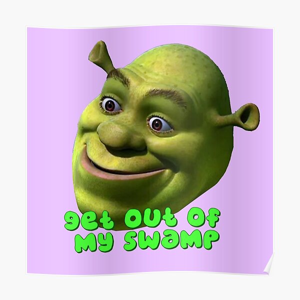 Shrek Get Out Of My Swamp Poster For Sale By Stuckinadream Redbubble 5122