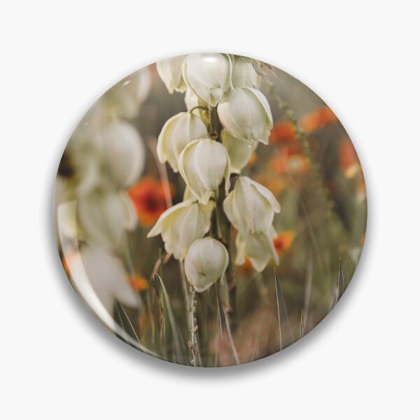Item preview, Summer Evenings designed and sold by photosbybentley.