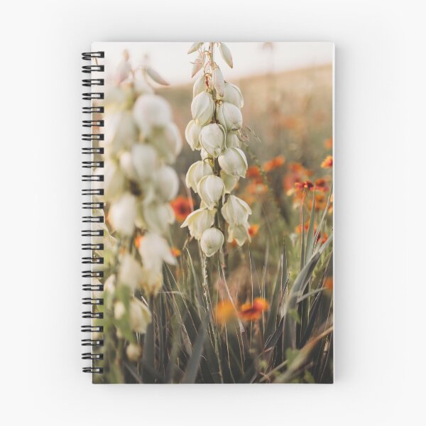 Item preview, Summer Evenings designed and sold by photosbybentley.