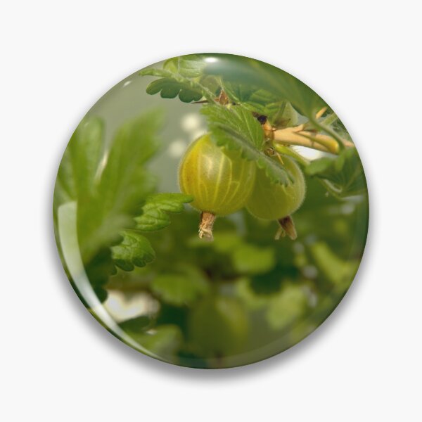 Item preview, Gooseberry designed and sold by Babbler01.